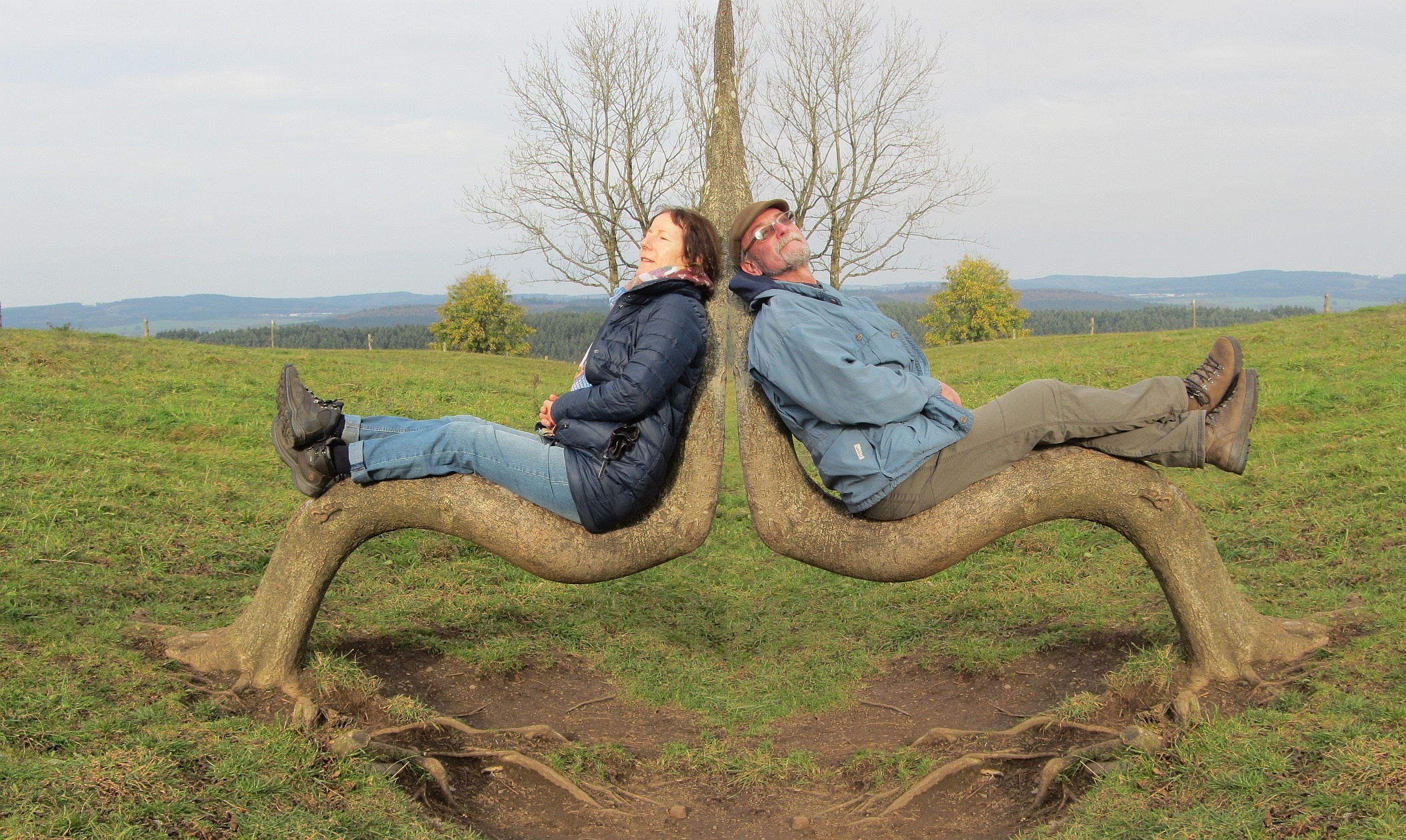 KURIOSES in der Eifel 2017 - Baum der "Zweisamkeit"