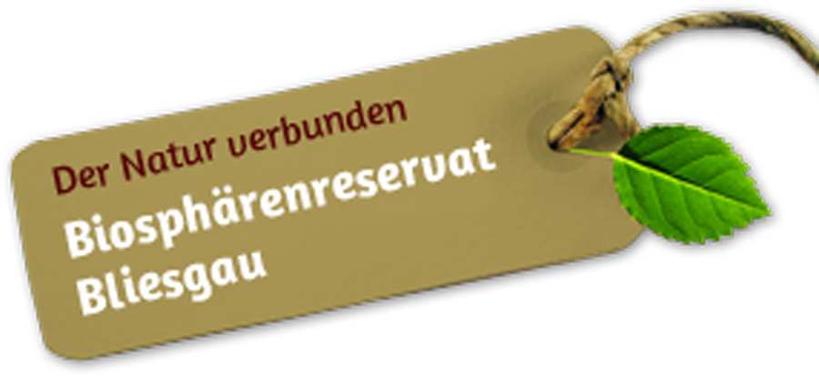 Ein Besuch lohnt sich !!!